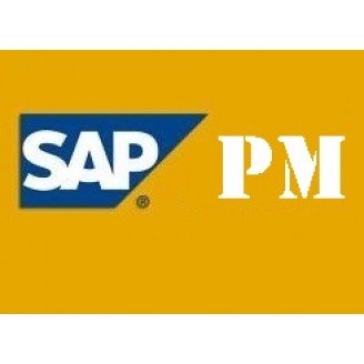SAP PM (Plant Maintenance) BUY 1 GET 2 FREE